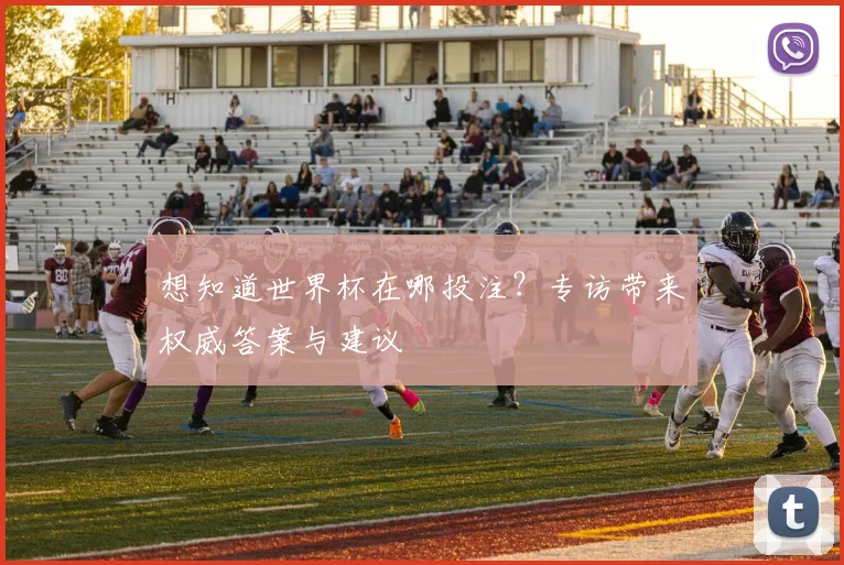 想知道世界杯在哪投注？专访带来权威答案与建议