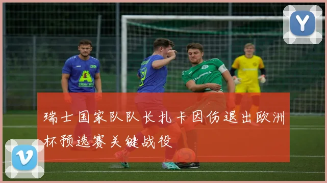 瑞士国家队队长扎卡因伤退出欧洲杯预选赛关键战役