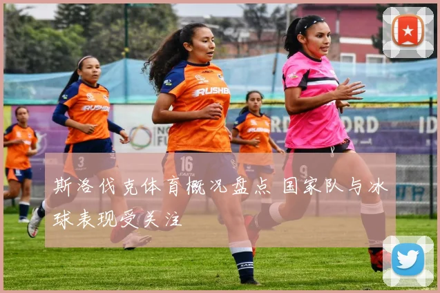 斯洛伐克体育概况盘点 国家队与冰球表现受关注