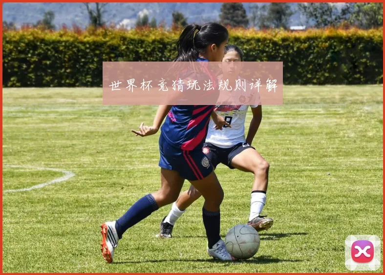 世界杯竞猜玩法规则详解