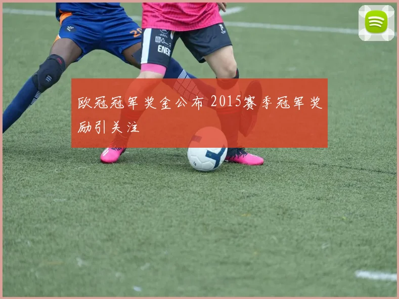 欧冠冠军奖金公布 2015赛季冠军奖励引关注