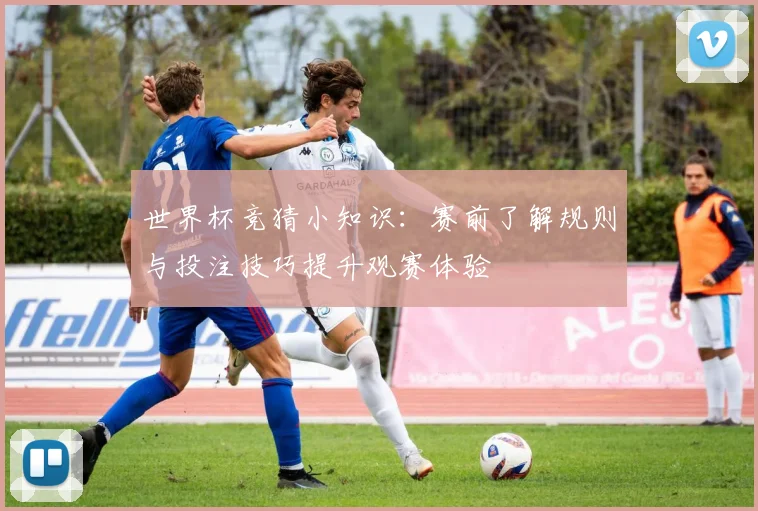 世界杯竞猜小知识：赛前了解规则与投注技巧提升观赛体验